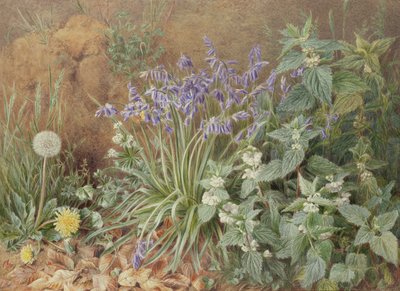 Wild Flowers by Marian Emma Chase